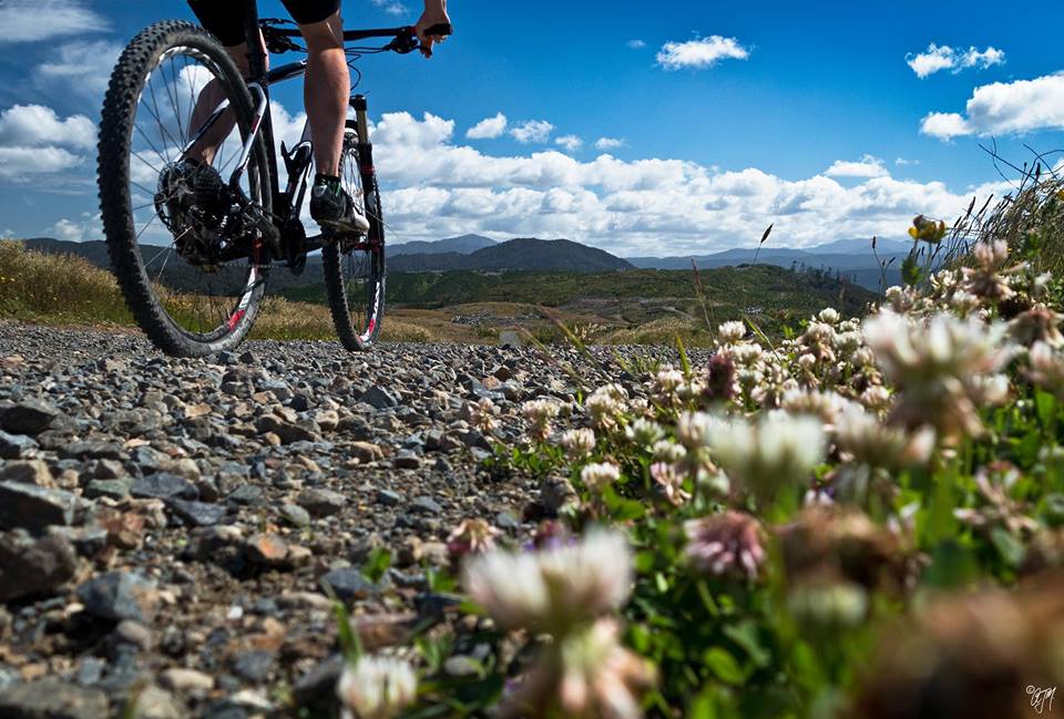 Mountain biking in Wellington Region - GWRC