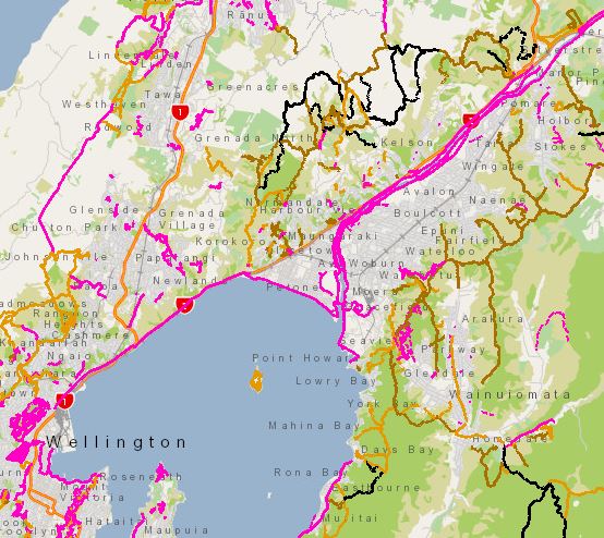 Tracks mapping - Wellington Region