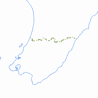 Export Image